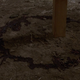 Illustration for article titled Drought Is Especially Bad In Portland on Grimm: Star-Crossed.